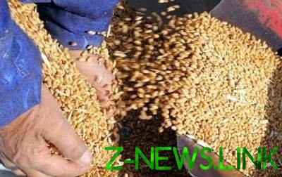Украина может заменить Канаду в поставках пшеницы в Саудовскую Аравию