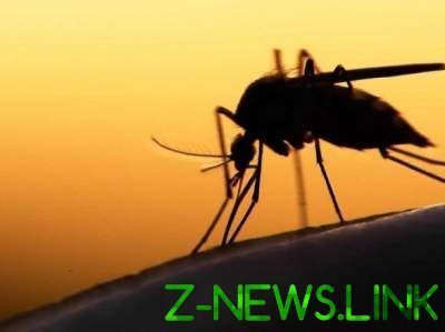 В Украине сообщили о новом случае малярии