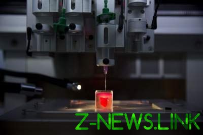 Живое сердце впервые напечатали на 3D-принтере