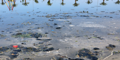 В Батуми очистили озеро после твита посла Швеции