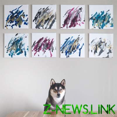 Собака из Канады зарабатывает, рисуя необычные картины. Фото