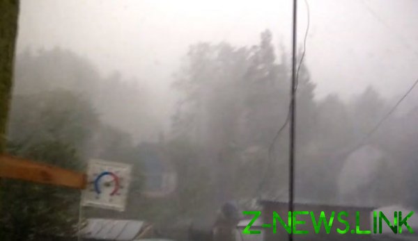 Мощный ураган накрыл Житомирскую область. Видео