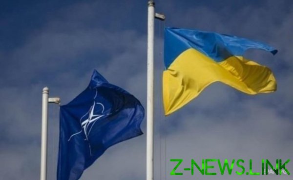 В НАТО назвали направления реформ, которых ожидают от Украины