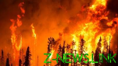 В России горит более 40 тысяч гектаров леса