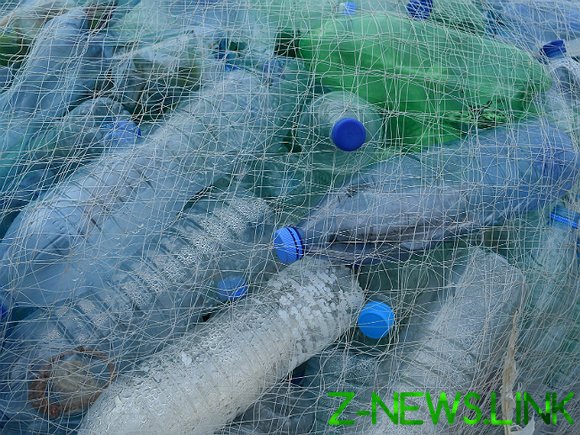 В Россию стали ввозить гораздо больше пластикового мусора