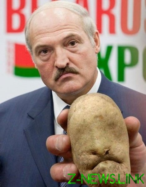 Почему в Беларуси на прилавках нет белорусского картофеля