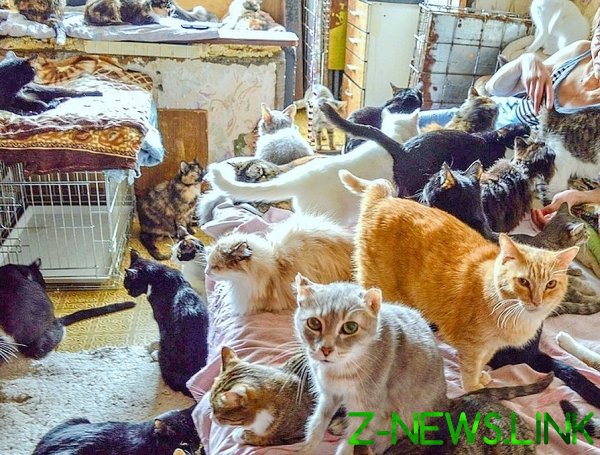 В Нижегородской области женщину держали взаперти с кошками почти 30 лет