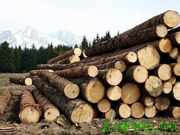 Чиновники не досчитались миллиарда гектаров российского леса